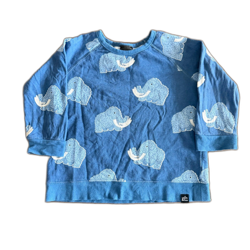 Whistle & Flute Blue Mammoth Organic Sweatshirt Youth 5-6